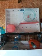 Hamsterkooi, Dieren en Toebehoren, Kooi, Gebruikt, Minder dan 75 cm, Hamster