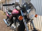 Suzuki VX800 V-Twin Cruiser, 2 cilinders, Particulier, Meer dan 35 kW, 800 cc