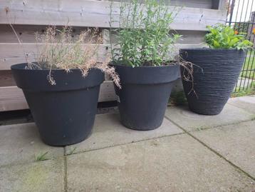 UV Bestendig plantenbakken beschikbaar voor biedingen
