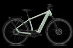 Flyer Upstreet 7.43 Heren Frosty Sage L 2023, Fietsen en Brommers, Elektrische fietsen, Nieuw, Overige merken