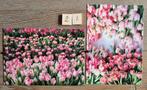 Ser 21 PLANTEN BLOEMEN kaarten postcrossing nieuw, Verzamelen, Ophalen, 1980 tot heden
