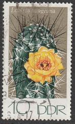 DDR 1974 1923 Kogelcactus 10p, Gest, Postzegels en Munten, Postzegels | Europa | Duitsland, Ophalen of Verzenden, DDR, Gestempeld
