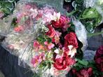 Zijden bloemen / planten, Ophalen of Verzenden, Nieuw, Binnen