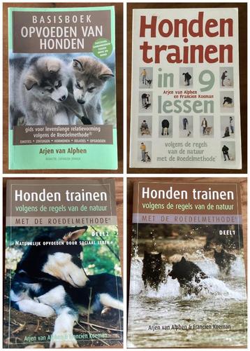 Arjen van Alphen - opvoeden /trainen roedelmethode hond beschikbaar voor biedingen