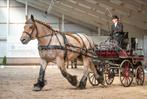 Jasperse marathon wagen, Dieren en Toebehoren, Rijtuigen en Koetsen, Marathonwagen, Gebruikt, Paard