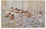 Vogels.  Birds an blossoms., Verzenden, Voor 1920, Ongelopen, Overige thema's