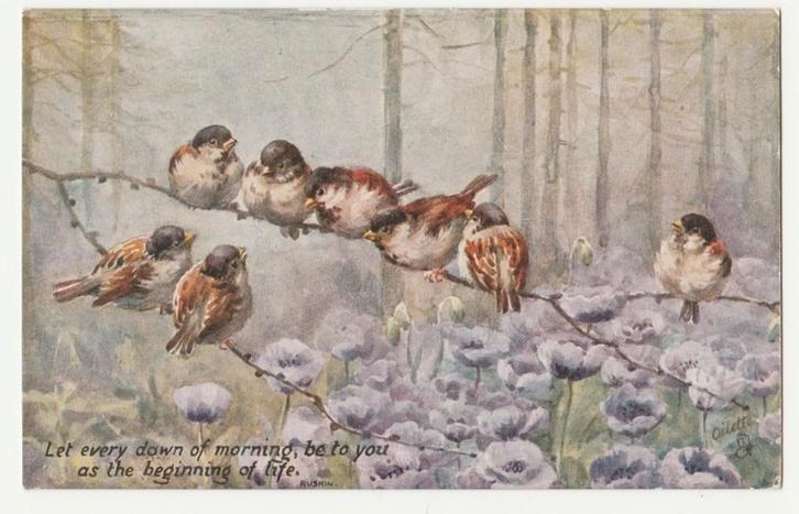 Vogels.  Birds an blossoms., Verzamelen, Ansichtkaarten | Themakaarten, Ongelopen, Voor 1920, Overige thema's, Verzenden