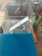 Aquarium, Dieren en Toebehoren, Vissen | Aquaria en Toebehoren, Ophalen, Zo goed als nieuw, Leeg aquarium