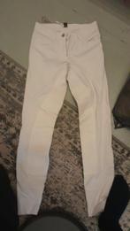 Witte Broek Maat 36, Ophalen of Verzenden, Zo goed als nieuw, Dressuur, Onderkleding