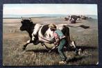 De koe rent toch harder dan de boer, Verzamelen, Ansichtkaarten | Dieren, Overige soorten, Ongelopen, Voor 1920, Verzenden