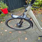 Stella Livorno Gold 2019 - Defect, Ophalen, Sparta, Gebruikt, 51 tot 55 cm