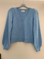Vest van Fabienne Chapot in maat XS, Blauw, Ophalen of Verzenden, Zo goed als nieuw, Fabienne Chapot