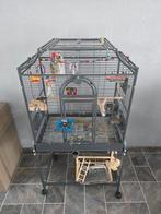 Lory van de blauwe bergen, Dieren en Toebehoren, Verzenden, Zo goed als nieuw, Metaal