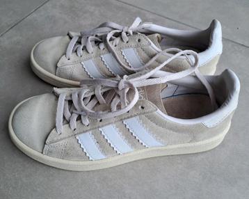 Adidas Campus  36 beschikbaar voor biedingen
