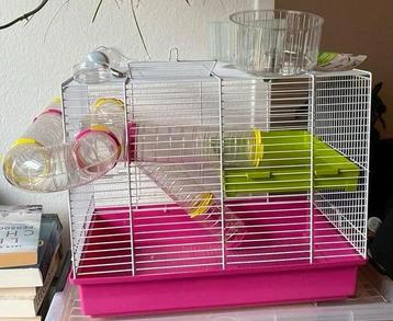Hamsterhok met een aantal accessoires beschikbaar voor biedingen