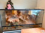 Terrarium 120b x 61,5h x 50d inclusief accessores, Dieren en Toebehoren, Ophalen, Gebruikt