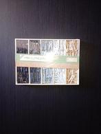 200 mini wasknijpers, Hobby en Vrije tijd, Ophalen of Verzenden, Nieuw, Overige typen