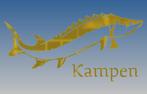 Kampersteur Sticker recht met tekst Goud, Ophalen of Verzenden