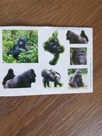 Gorilla stickers, Verzamelen, Stickers, Nieuw, Overige typen, Ophalen of Verzenden