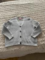 Katoenen vest s’Oliver maat46 €20,00, Kleding | Dames, Grote Maten, Ophalen of Verzenden, Zo goed als nieuw, Blauw, Trui of Vest