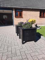 Bloembakken, Ophalen, Minder dan 60 cm, Nieuw, Tuin