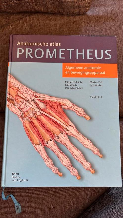 Erik Schulte - Algemene anatomie en bewegingsapparaat, Boeken, Wetenschap, Zo goed als nieuw, Ophalen of Verzenden