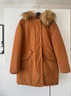 Winterjas dames maat 40, Ophalen of Verzenden, Zo goed als nieuw, Maat 38/40 (M), Bruin