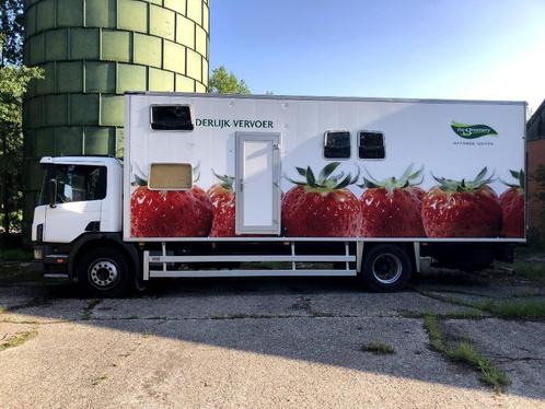 scania P 9 DB4X2 NA 75115, Auto's, Vrachtwagens, Particulier, Scania, Diesel, Handgeschakeld, Ophalen