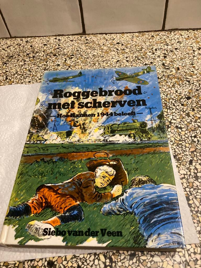 Roggebrood met scherven, Ophalen of Verzenden, Zo goed als nieuw