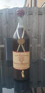 VIN DE PAYS DU GARD Domaine d Aillargues - 5 liter MAGNUM, Nieuw, Rode wijn, Frankrijk, Vol