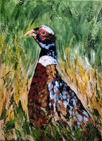 Schilderij fazant  beschikbaar voor biedingen