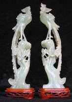 Prachtige paradijsvogels in heldere groene jade., Ophalen