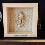 Handgemaakte Oester in Lijst - Ik K Oester Jou, Huis en Inrichting, Woonaccessoires | Wanddecoraties, Ophalen of Verzenden, Nieuw