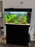 Juwel Rio 125. met ingebouwde filter, Dieren en Toebehoren, Vissen | Aquaria en Toebehoren, Ophalen, Zo goed als nieuw, Leeg aquarium