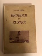 Broeder en zuster door D. H. De Liefde, Antiek en Kunst, Ophalen of Verzenden