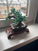 Lego icons Bonsai Boom 10281, Ophalen of Verzenden, Zo goed als nieuw, Complete set, Lego