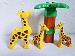 Duplo dierentuin safari dieren giraf, Ophalen of Verzenden, Gebruikt, Duplo