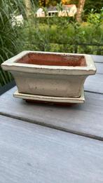 Bonsai bakje inclusief onderschotel, beige glazuur., Ophalen of Verzenden, Gebruikt, Aardewerk