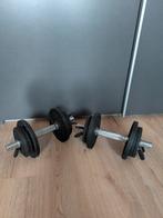 Halterset - Verstelbare Dumbbells Domyos (2x10KG), Ophalen, Gebruikt, Rug, Halterset