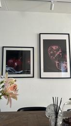 Granaatappel  Schilderij, Ophalen of Verzenden