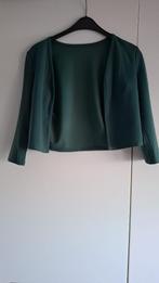 Mooie bolero, Kleding | Dames, Maat 38/40 (M), Ophalen of Verzenden, Zo goed als nieuw, Jasje