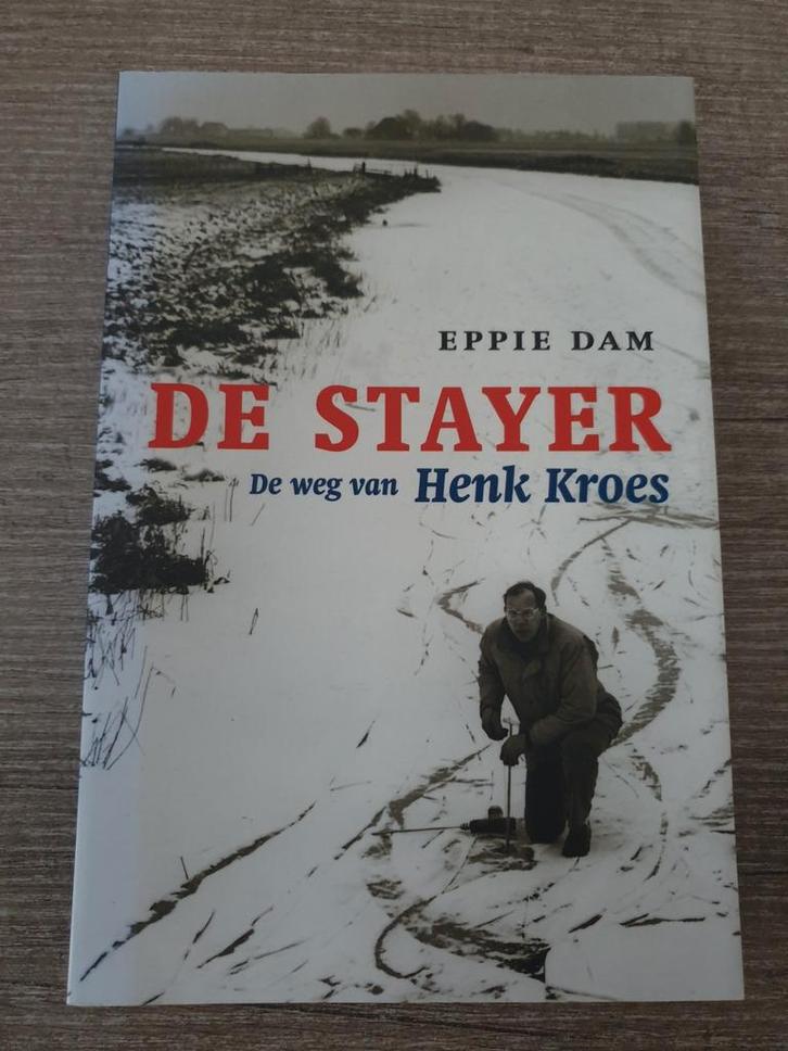 De Stayer - Eppie Dam, biografie Henk Kroes, Boeken, Overige Boeken, Gelezen, Ophalen of Verzenden