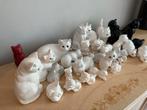 Kattenbeelden Collectie Delft Wit & Keramiek, Ophalen, Gebruikt, Dier