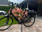 Elektrische fiets; Batavus Ways Ego Deluxe, Ophalen, Gebruikt, Batavus, 51 tot 55 cm