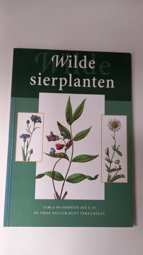 Wilde sierplanten L. de Koning., Boeken, Natuur, Gelezen, Bloemen, Planten en Bomen, Ophalen of Verzenden
