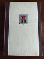 Dorp aan de Vliet - Geschiedenis van Voorburg, Ophalen of Verzenden, 20e eeuw of later, Gelezen, Gabriël Gorris, et al.