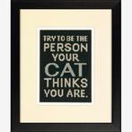 borduurpakket PET SAYING dog / cat marti, Hobby en Vrije tijd, Borduren en Borduurmachines, Ophalen of Verzenden, Nieuw, Handborduren