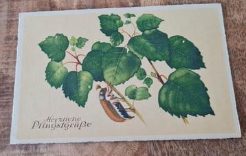 Kever op een blad - Fijne Pinksteren beschikbaar voor biedingen