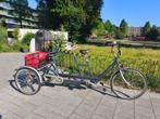van raam driewieler volwassenen, Fietsen en Brommers, Fietsen | Driewielers, Ophalen, Gebruikt, Van Raam, Verstelbare zitting