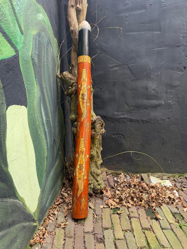 Didgeridoo, Ophalen of Verzenden, Nieuw